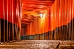 Vibrant vermilion torii gates of Fushimi Inari Shrine