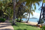 Palm Cove Beach